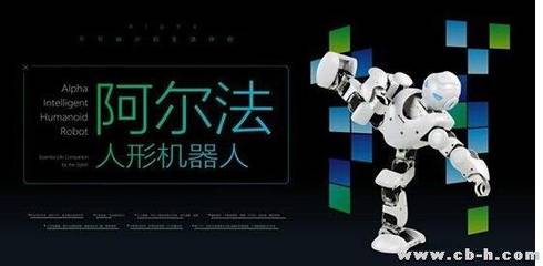 国内外智能人形机器人发展走向揭秘 从技术突破到产业落地的竞速赛